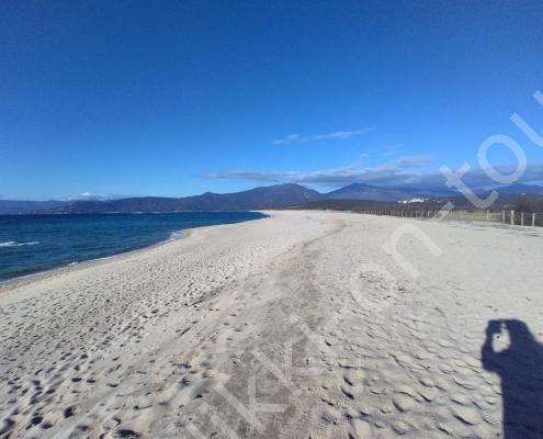 IMG_20230214_160136_HDR