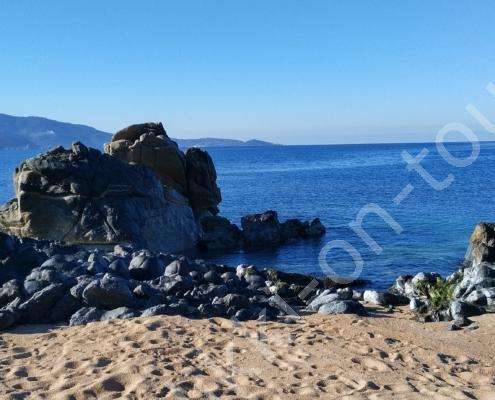 IMG_20230215_095349_HDR