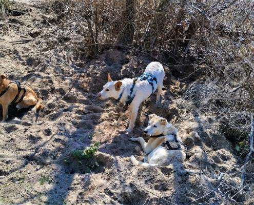 IMG_20230220_121945_HDR