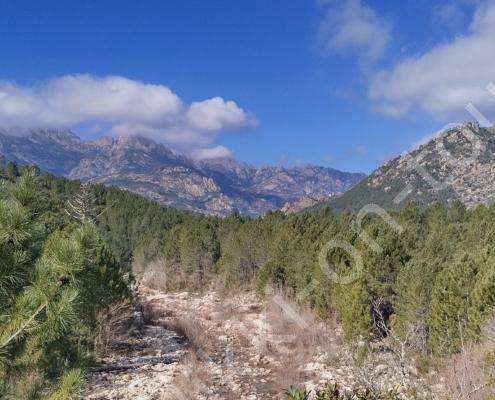 IMG_20230220_123154_HDR