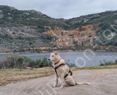 IMG_20230221_120456_HDR