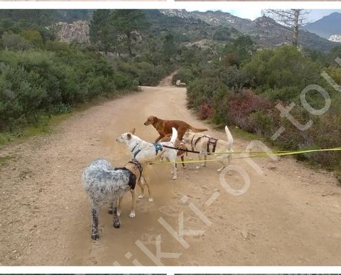 20230220_103207-COLLAGE