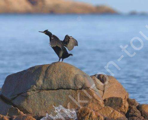 DV7I6387 - Kopie - Kopie