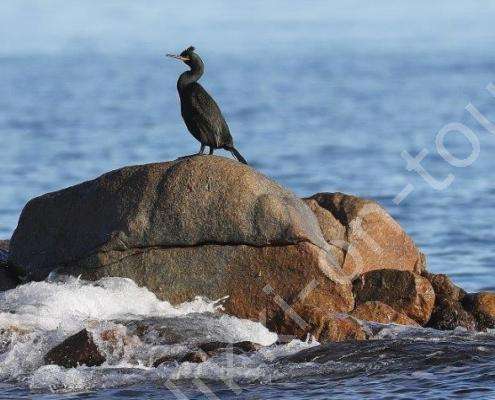 DV7I6430 - Kopie - Kopie