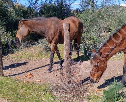 IMG_20230213_132407_HDR