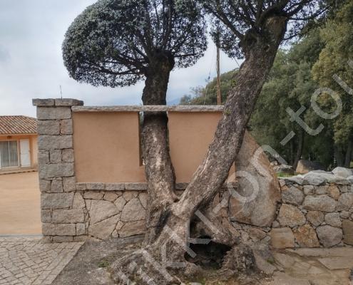 IMG_20230224_104346_HDR