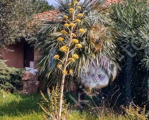 IMG_20230303_113453_HDR~2