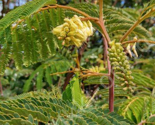 IMG_20230303_123312_HDR