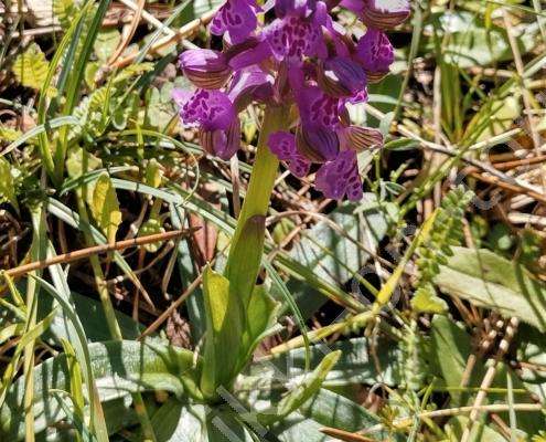 IMG_20230305_120739_HDR