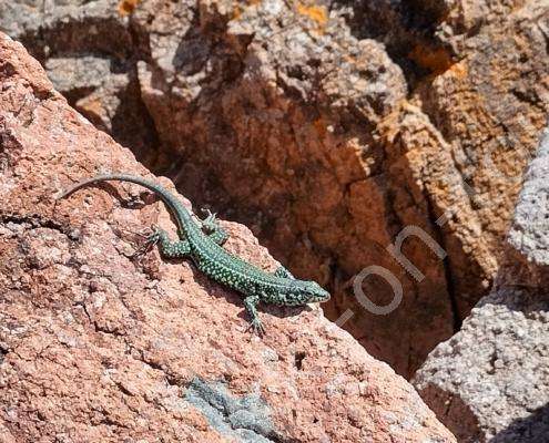 IMG_20230305_122049_HDR