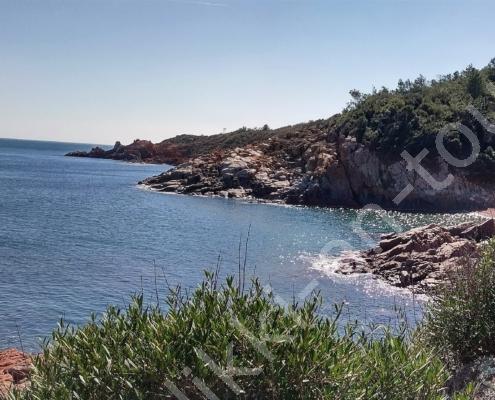 IMG_20230305_122816_HDR~2