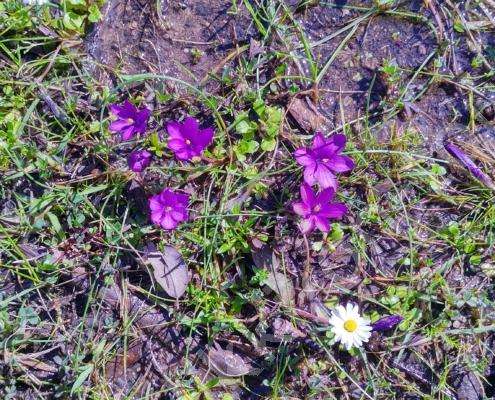 IMG_20230305_123931_HDR