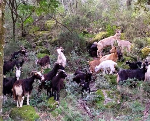 IMG_20230306_123548_HDR~2