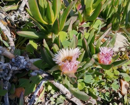 IMG_20230309_115154_HDR