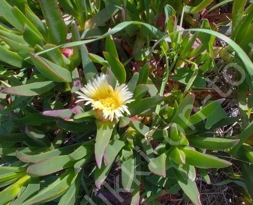 IMG_20230309_115944_HDR