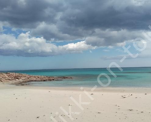 IMG_20230310_123310_HDR