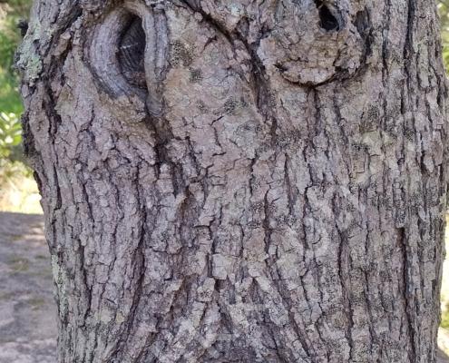 IMG_20230312_123301_HDR~2