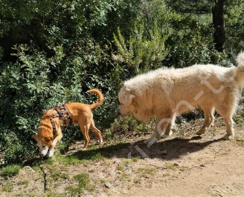 IMG_20230313_120150_HDR