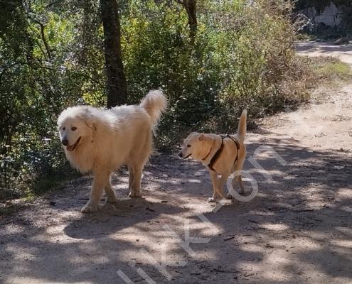 IMG_20230313_120453_HDR