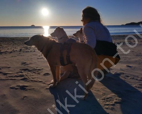 IMG_20230315_071008_HDR