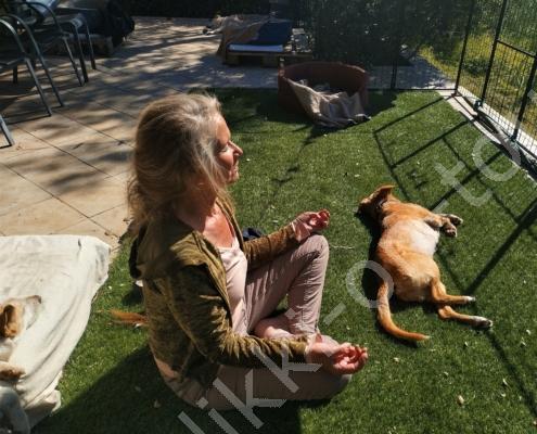 IMG_20230316_103508_HDR (2)