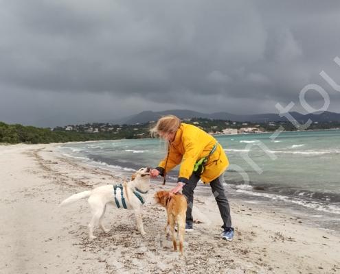 IMG_20230320_121128_HDR