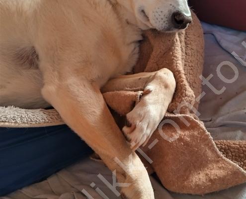 IMG_20230320_171442_HDR