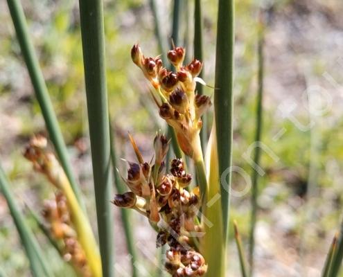 IMG_20230321_122607_HDR