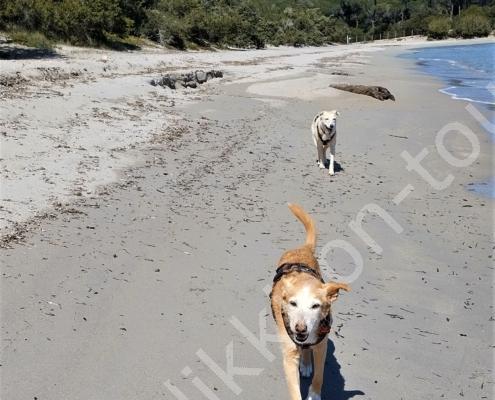 IMG_20230321_124547_HDR