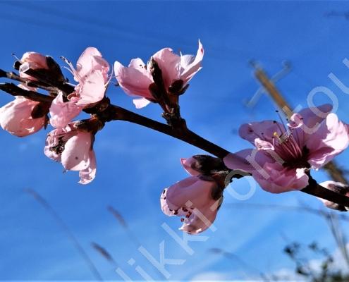 IMG_20230321_125708_HDR