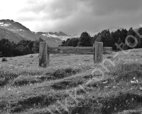 D32P4063 - Kopie - Kopie