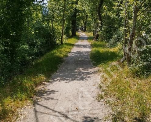 IMG_20230608_110600_HDR