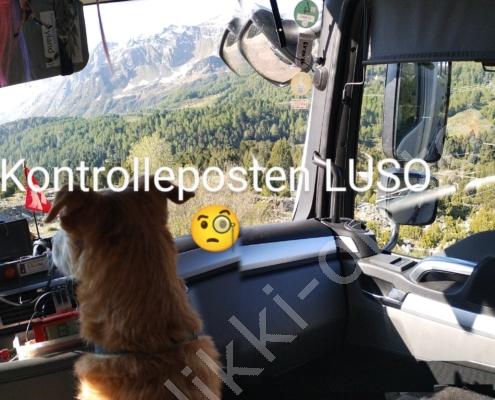 IMG_20230609_081221~2 - Kopie