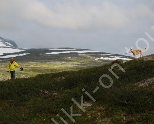 E30G0211 Halt ich will noch Steinhaufen zählen