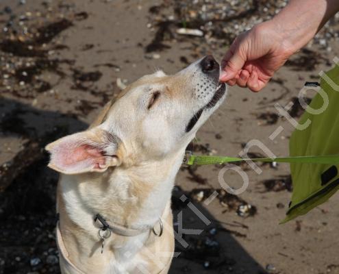 E30G5338 Meine Uschi ist die liebste