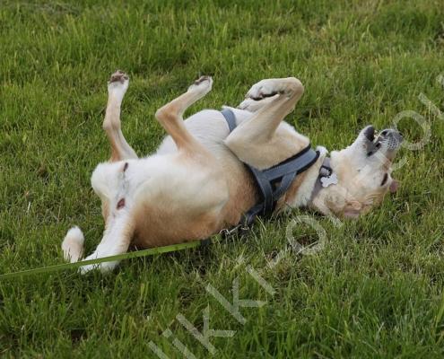 E30G9429 - Kopie - Kopie