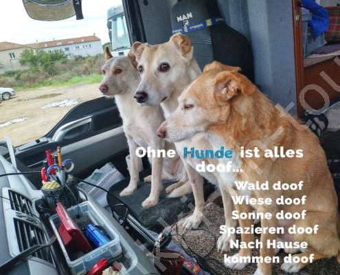 IMG_20211210_091656_HDR - Kopie