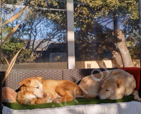 IMG_20220209_090828_HDR