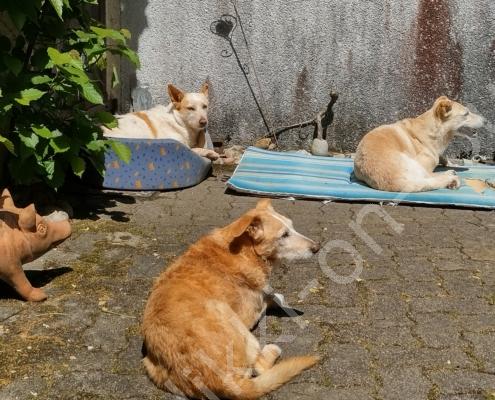 IMG_20220526_141235_HDR