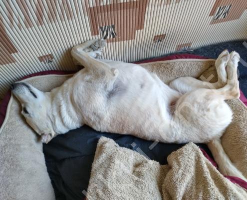 IMG_20230602_163355_HDR