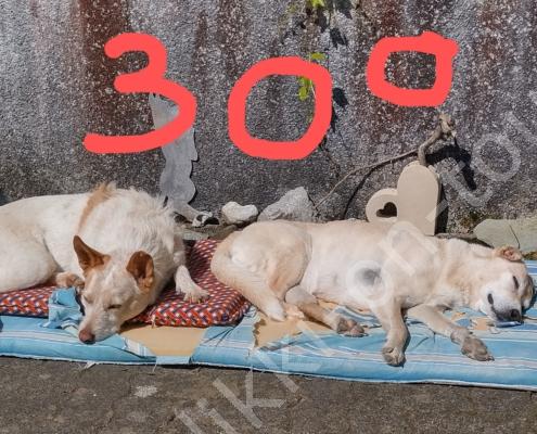 IMG_20230604_161019_HDR~2