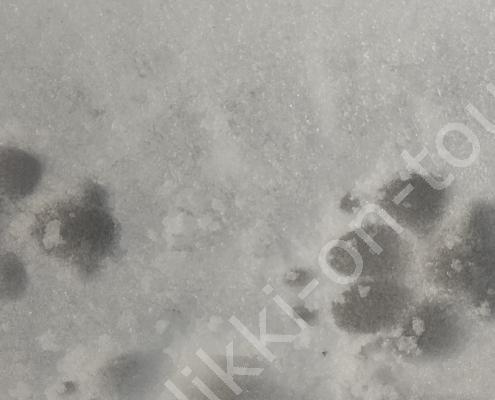 IMG_20231205_123907_MP