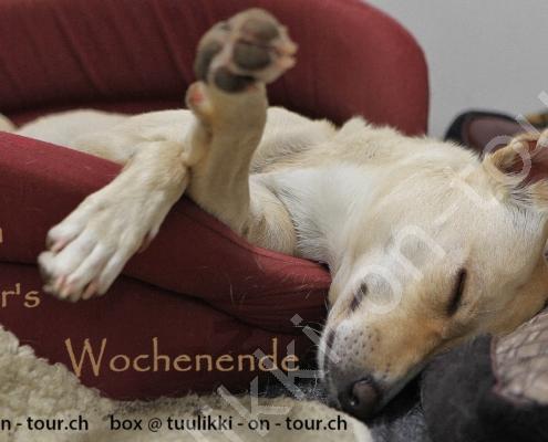 Tuulikki - Wochenende - Kopie