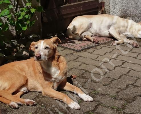 DSC_0124 (3) - 13.5.21