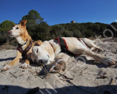 E30G7830 - Kopie - Kopie