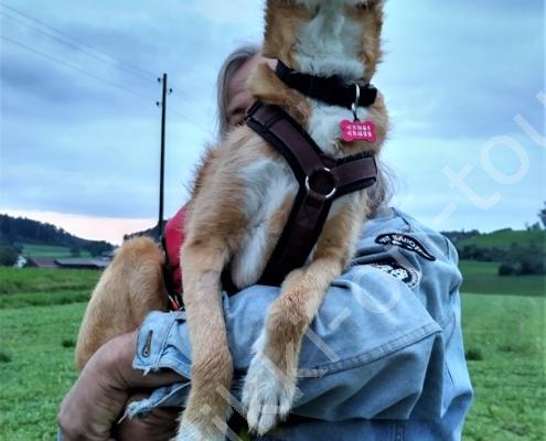 IMG_20210828_064505_HDR