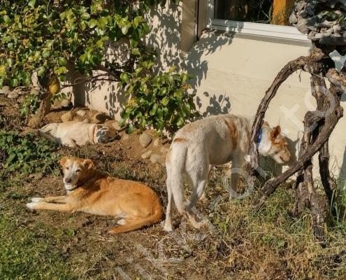 IMG_20211016_150944_HDR