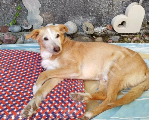 IMG_20230911_173621_HDR