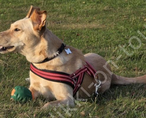 20250918_175806 - Kopie