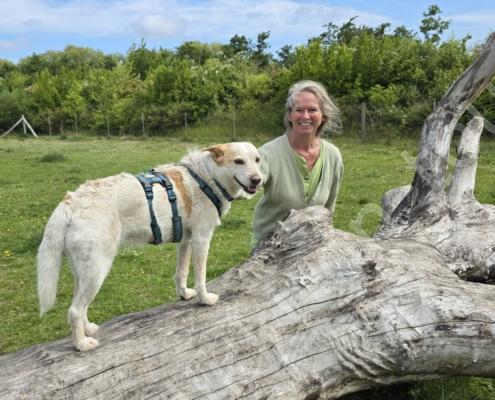 20250618_111756 - Kopie